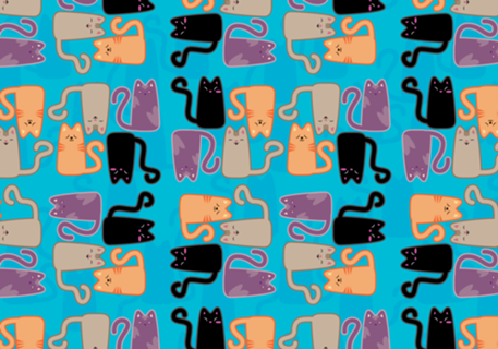 Cute Cats