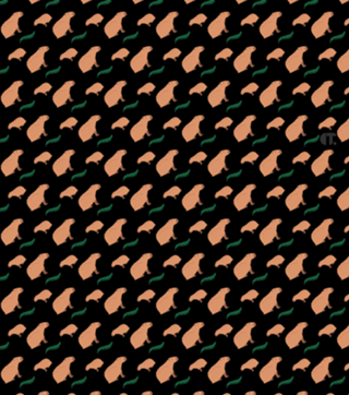 Capivara