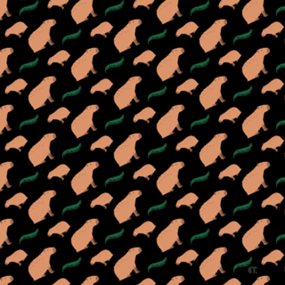 Capivara