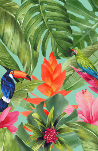 Papagaio + Tucano + Flores