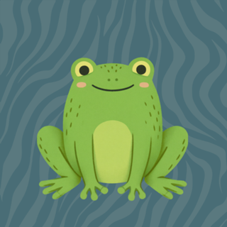 Mundo animal: Sapo