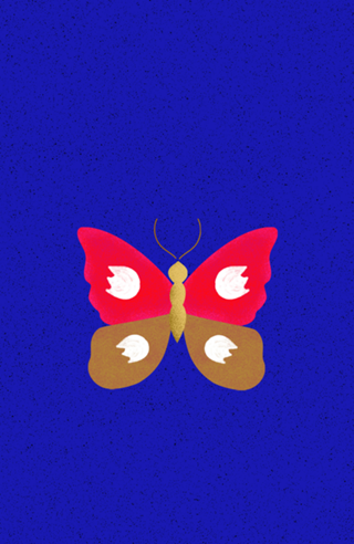 Borboleta