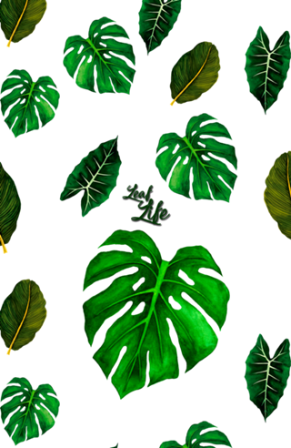 Leaf Life - Coleção 1