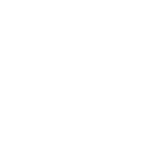 Fight Like a Girl