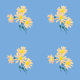 Margaridas