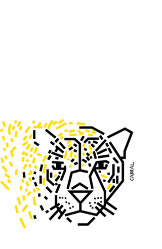 Onça-pintada