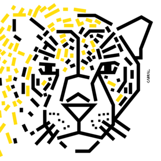 Onça-pintada