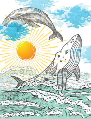 Whales dream