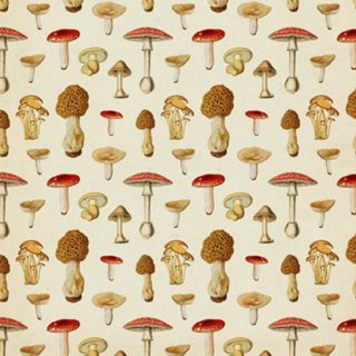 Pattern Cogumelos Vintage nº 1