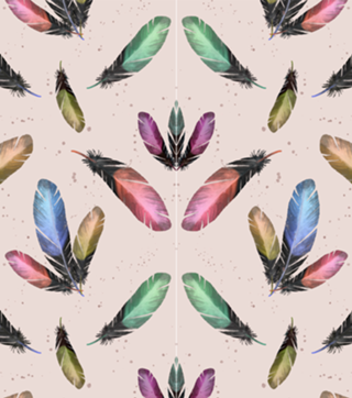 Feathers
