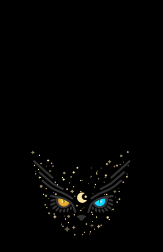 Luna Black Cat