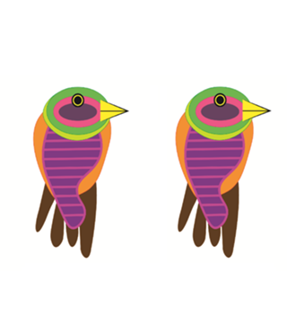 Funny bird