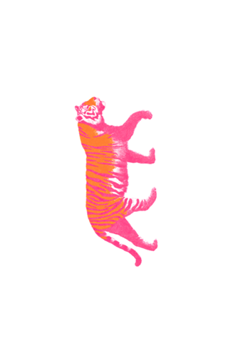 Tigre de Boas