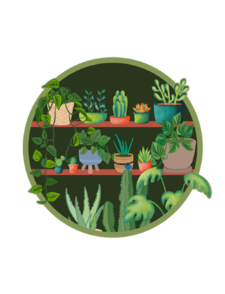 Estante de Plantas