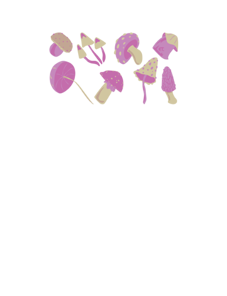 Cogumelos