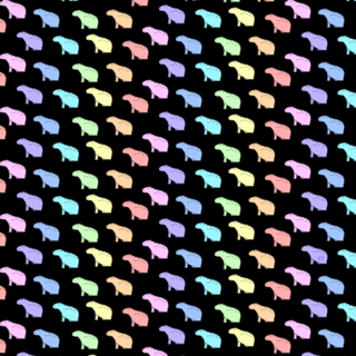 Rainbow Capivara