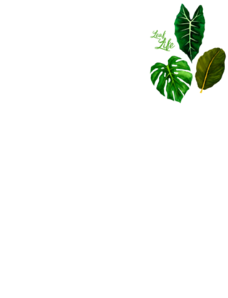 Leaf Life - Coleção 1