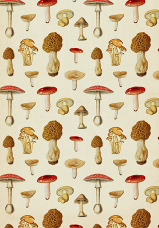 Pattern Cogumelos Vintage nº 1