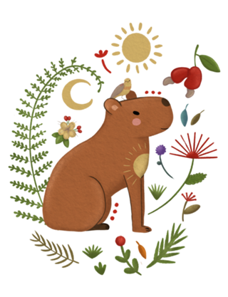 Capivara - A alma do cerrado