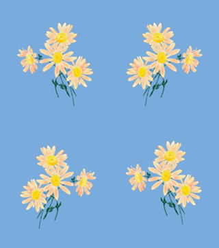 Margaridas